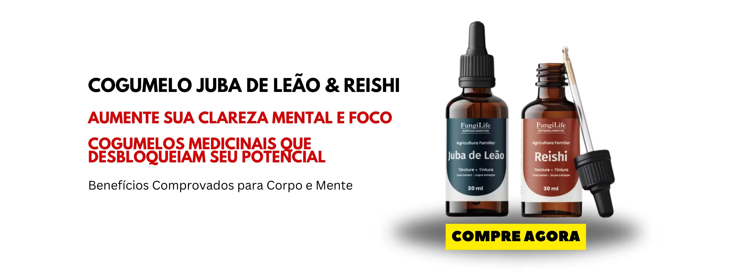 Cogumelo Juba de Leão & Reishi Cogumelo Juba de Leão & Reishi