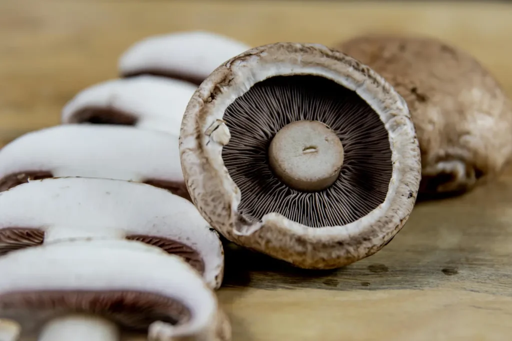 Cogumelo Portobello