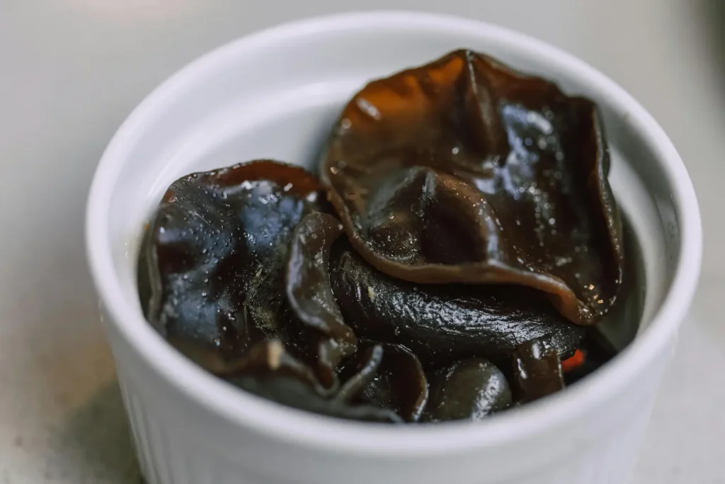 cogumelo preto